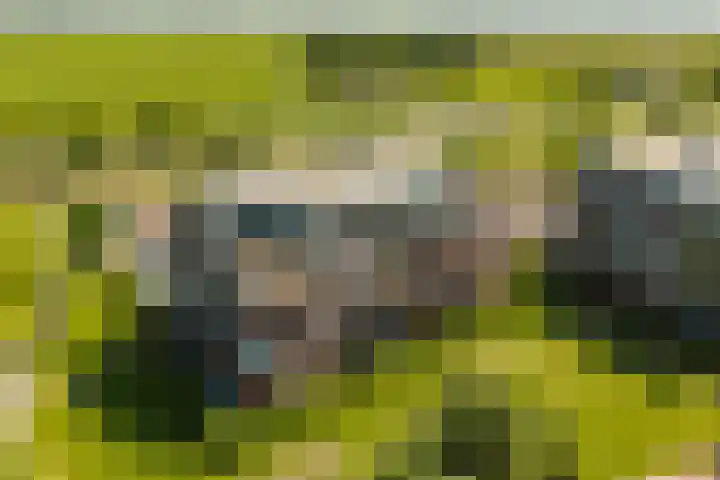 Nesserpark 7 Schagen thumbnail 30