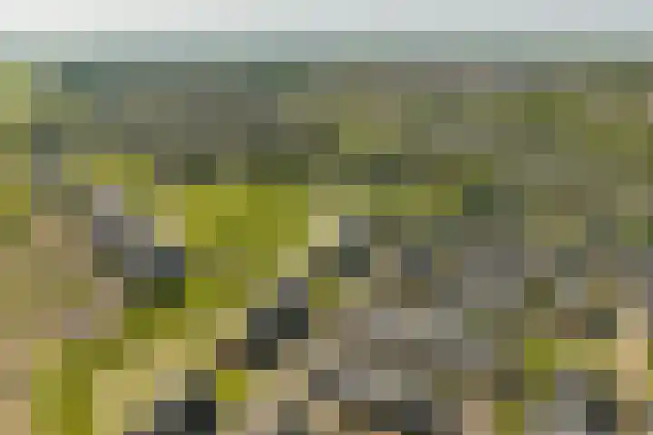Nesserpark 7 Schagen thumbnail 31