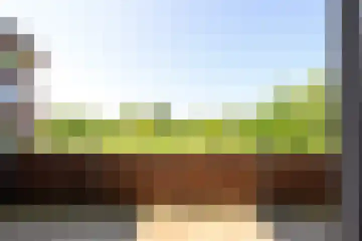 Nesserpark 7 Schagen thumbnail 8