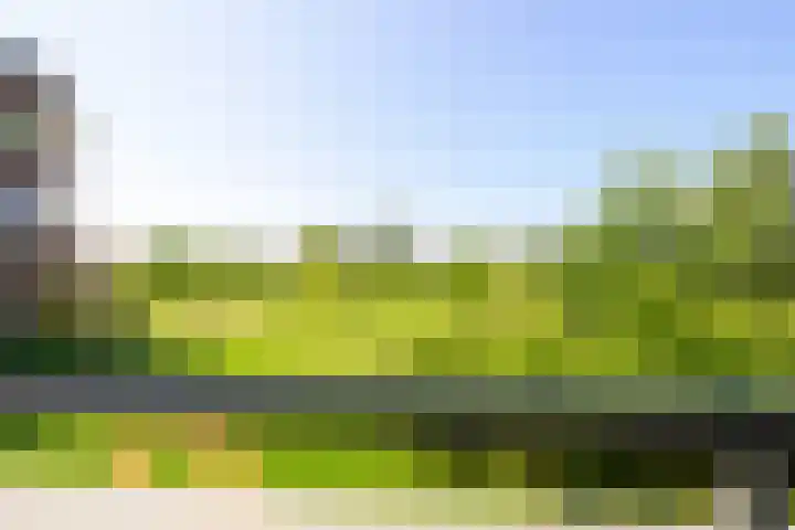 Nesserpark 7 Schagen thumbnail 9