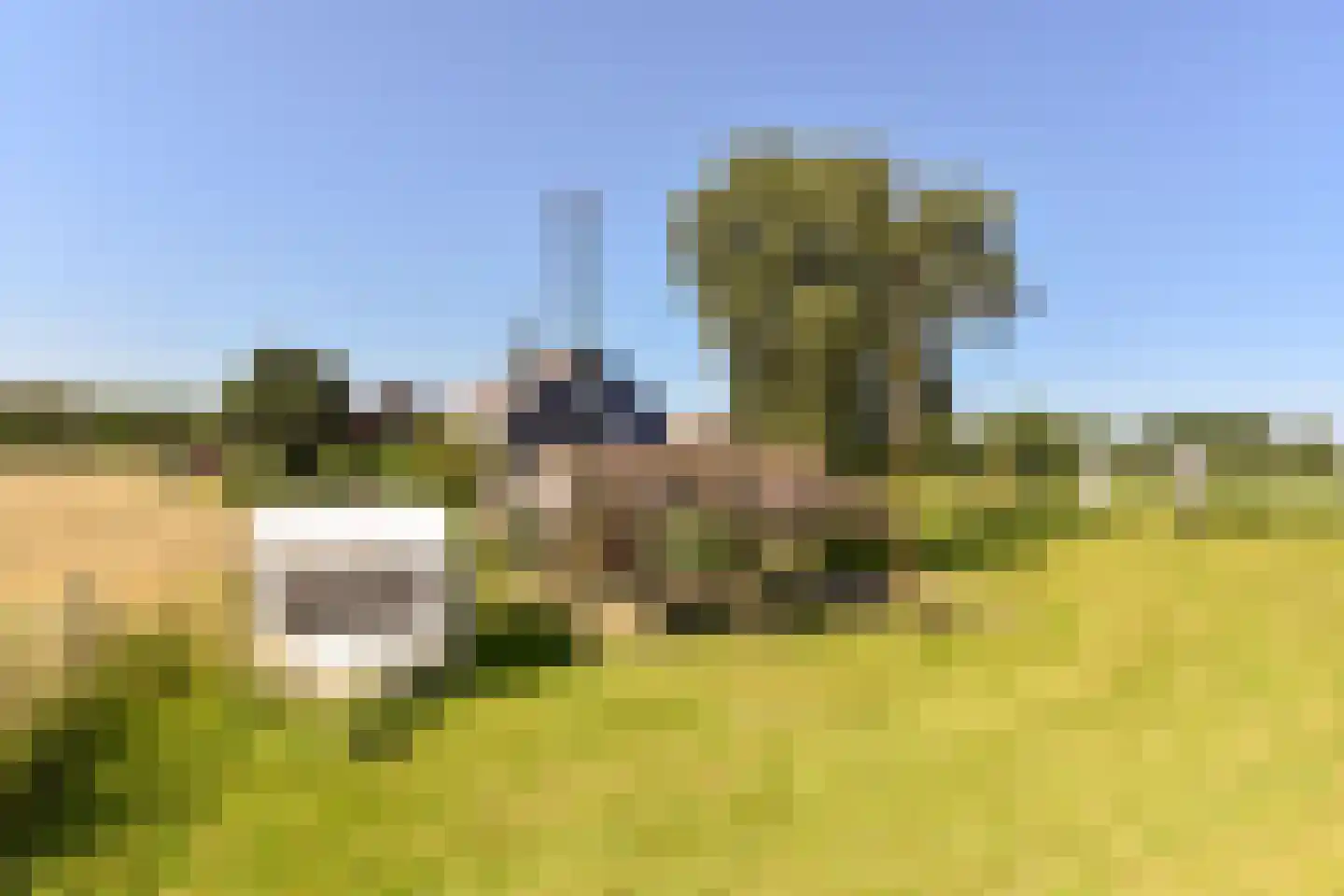 Nessersluis 1 A Waverveen thumbnail 14