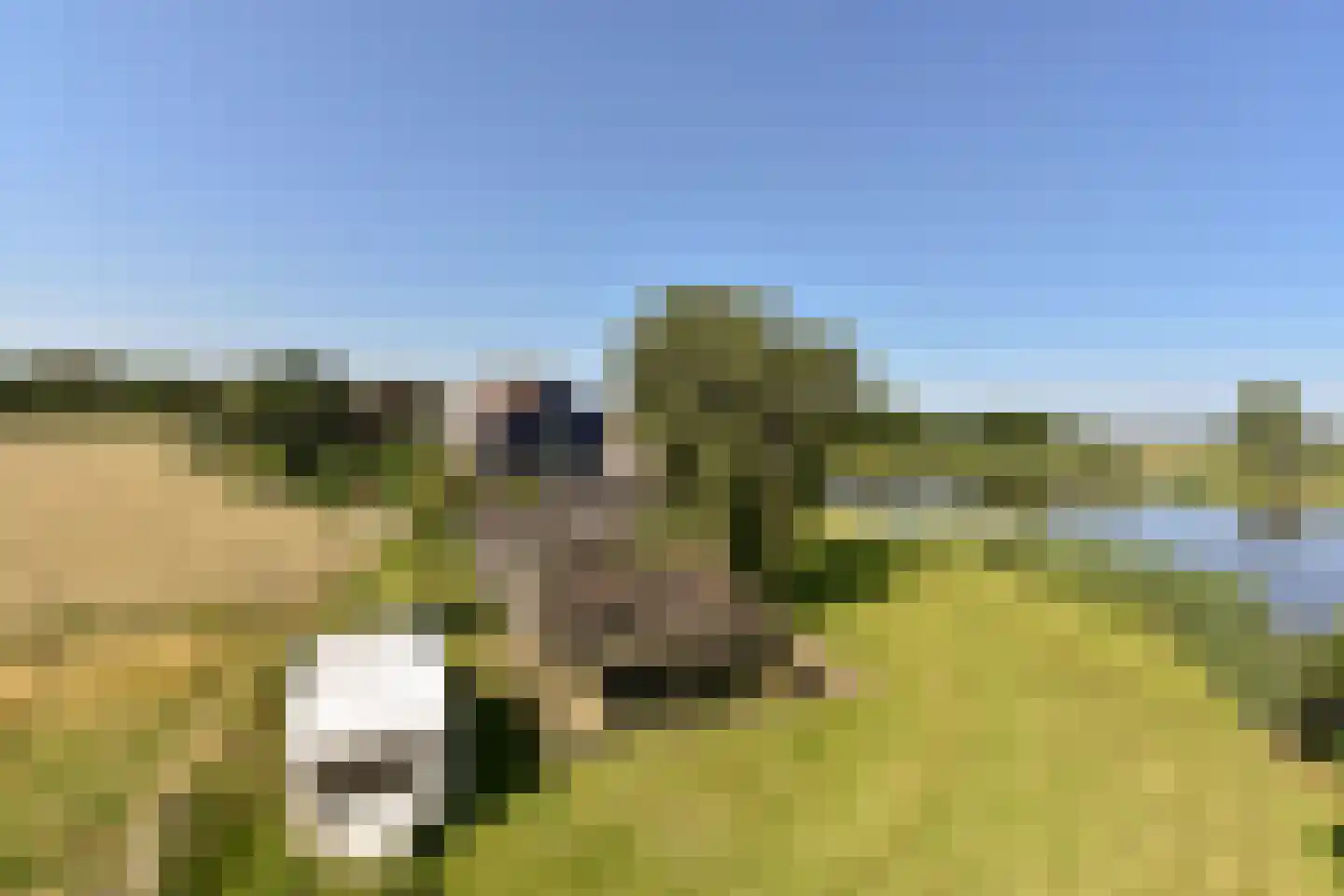 Nessersluis 1 A Waverveen thumbnail 15