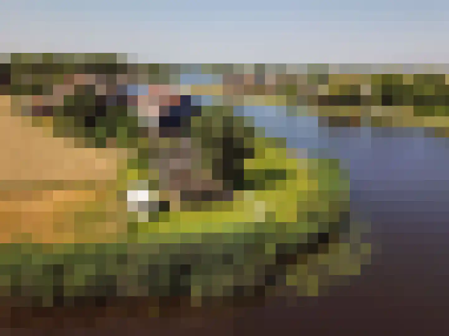 Nessersluis 1 A Waverveen thumbnail 5
