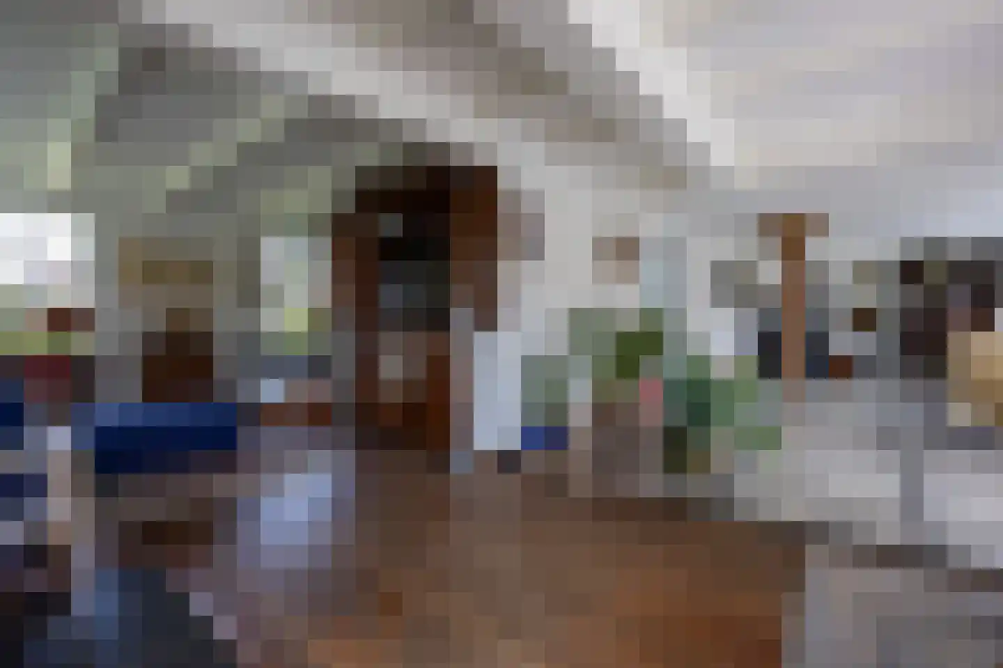 Nesserweg 13 Ballum thumbnail 15