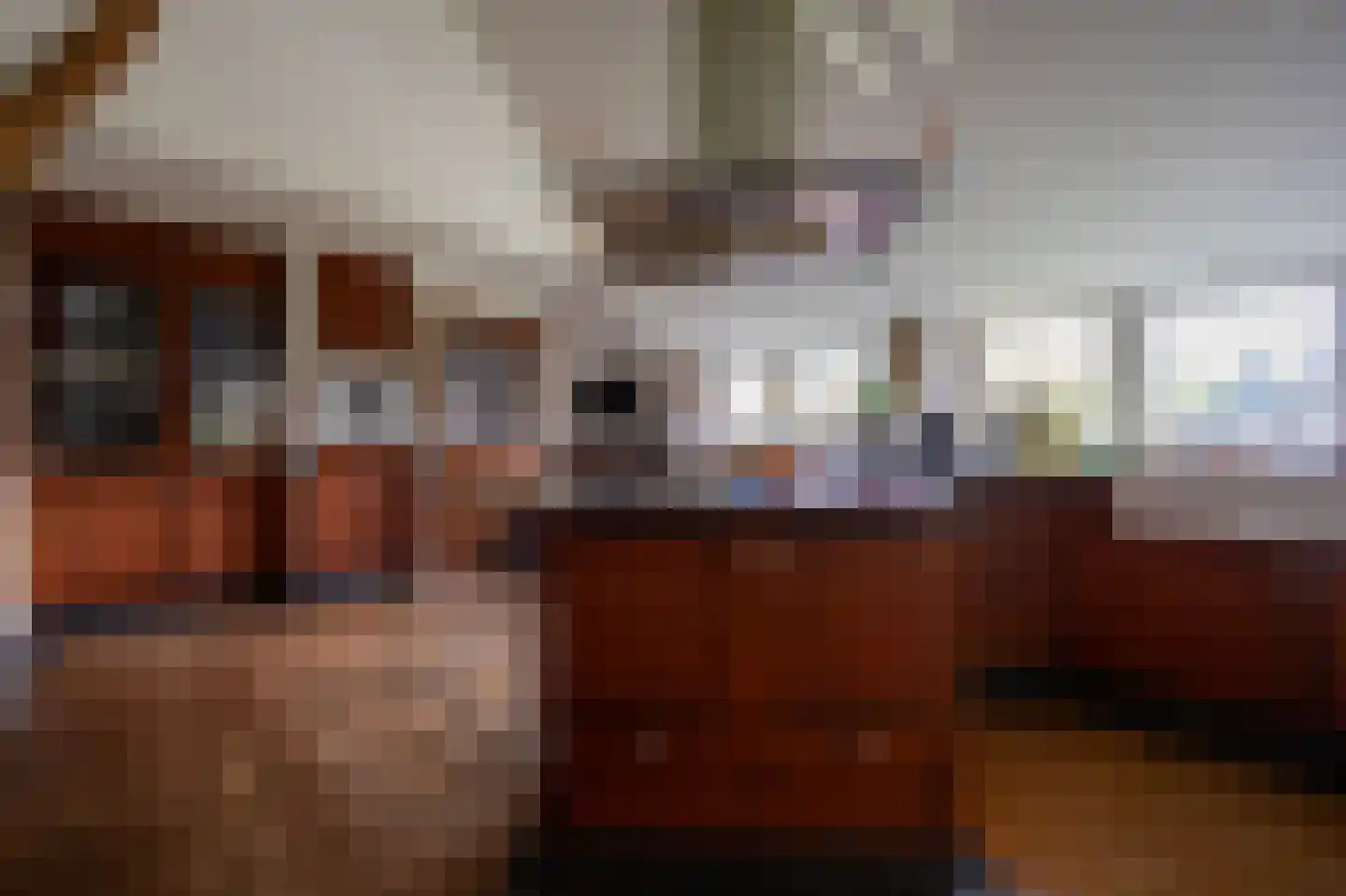 Nesserweg 13 Ballum thumbnail 6