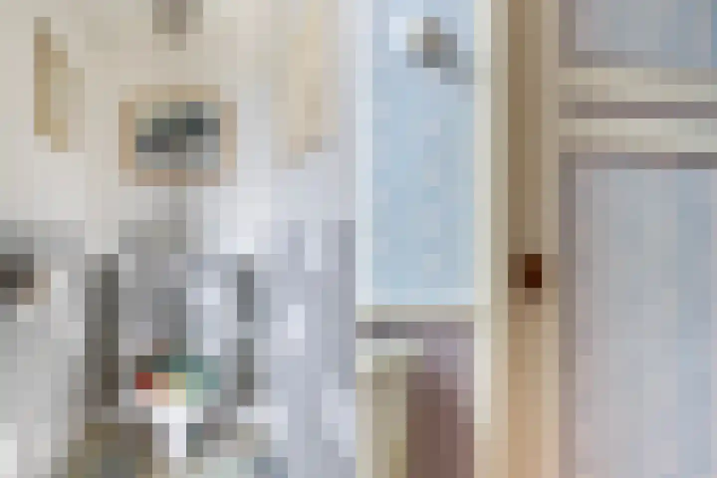 Nesserwei 15 Ternaard thumbnail 10