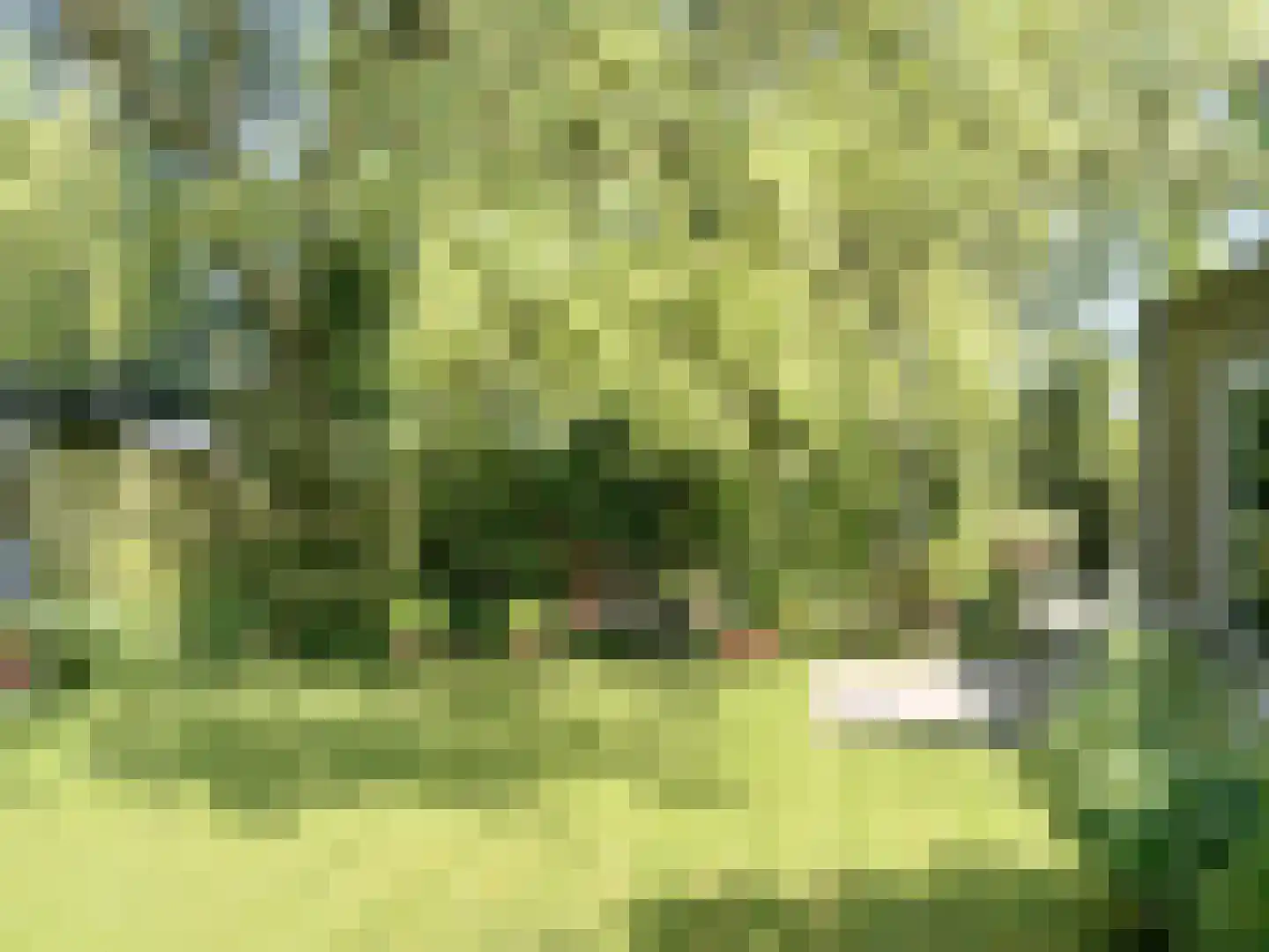 Nesserwei 15 Ternaard thumbnail 38