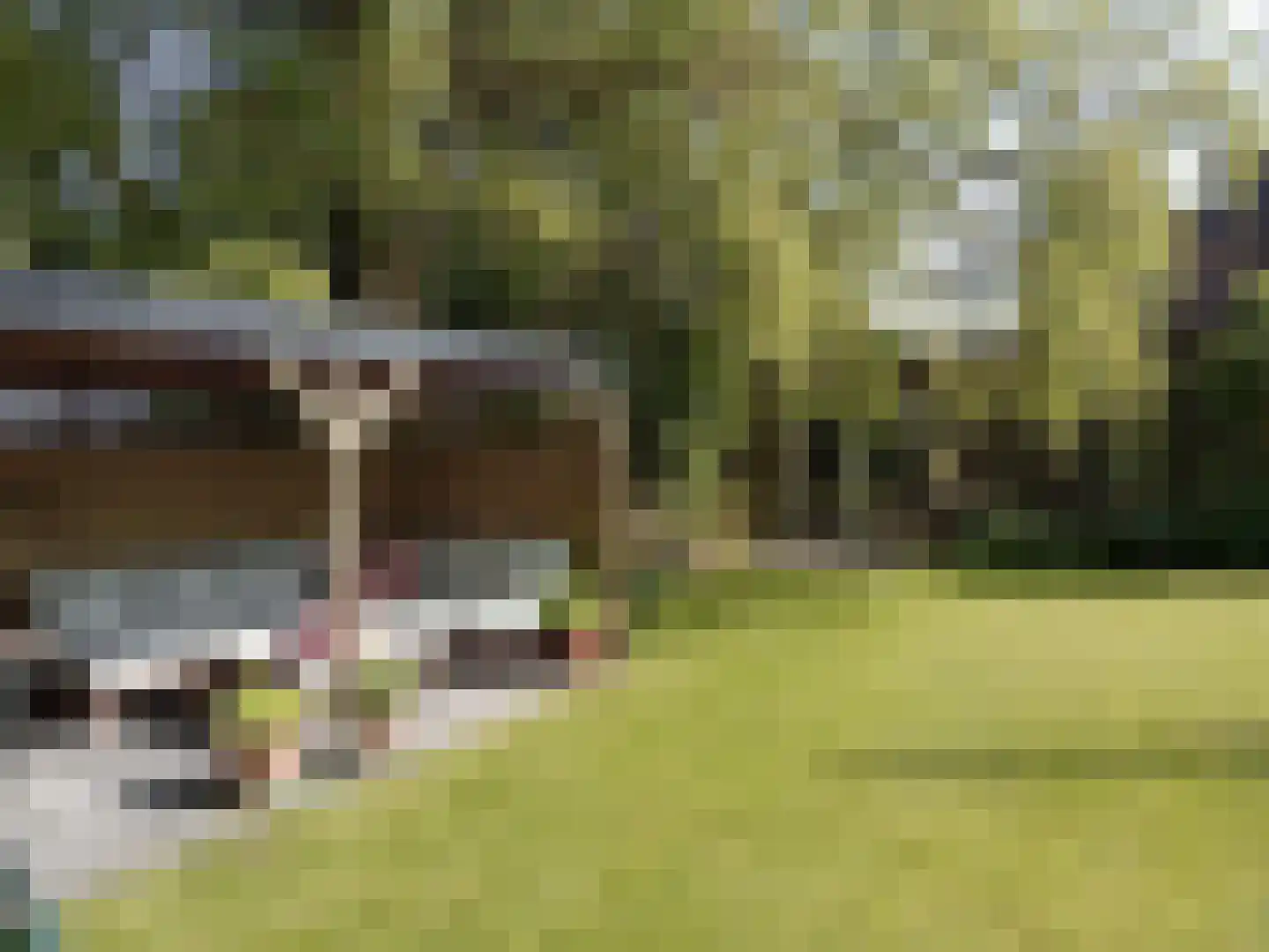 Nesserwei 15 Ternaard thumbnail 41
