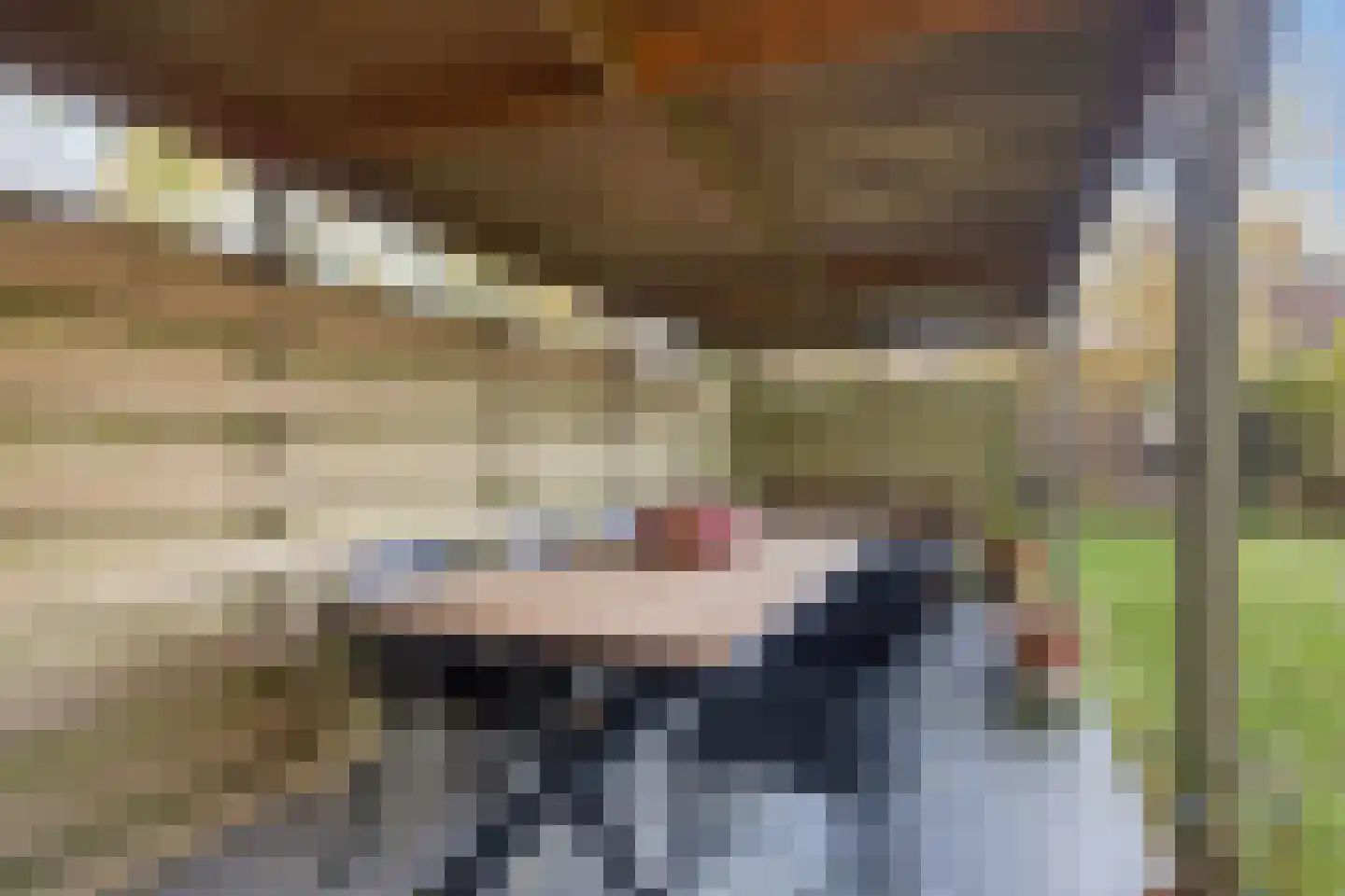 Nesserwei 15 Ternaard thumbnail 43