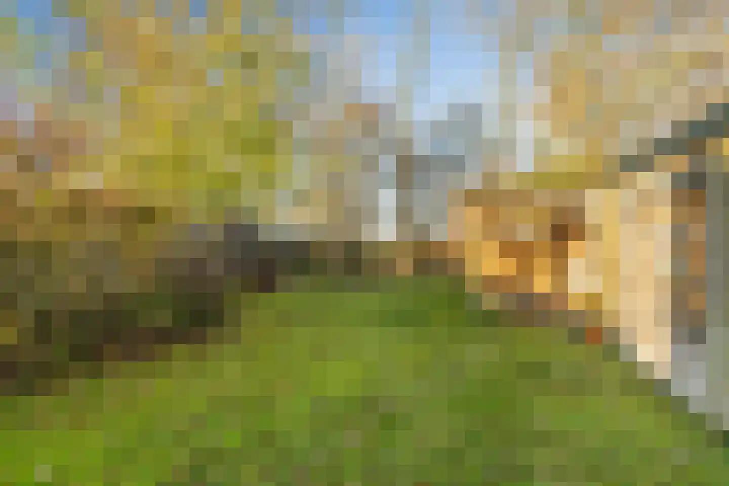 Nesserwei 15 Ternaard thumbnail 45