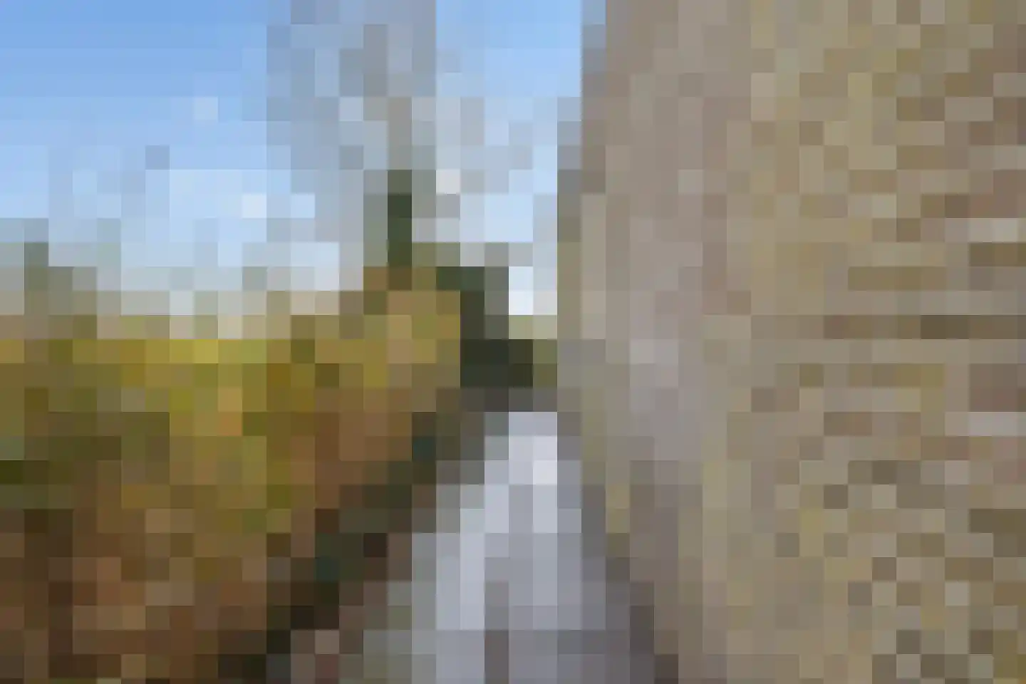 Nesserwei 15 Ternaard thumbnail 47