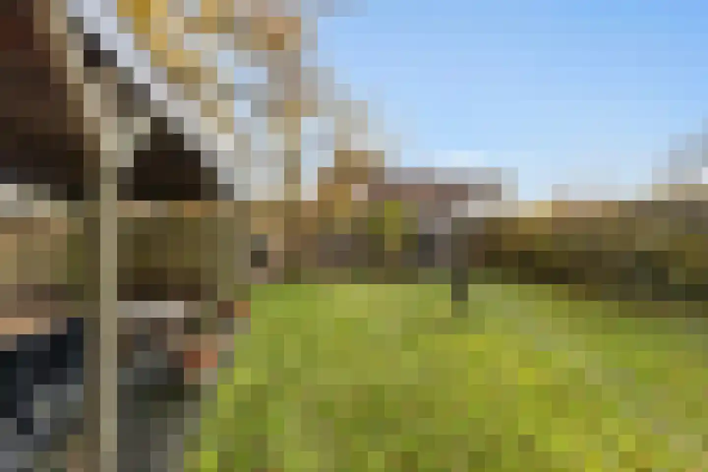 Nesserwei 15 Ternaard thumbnail 5