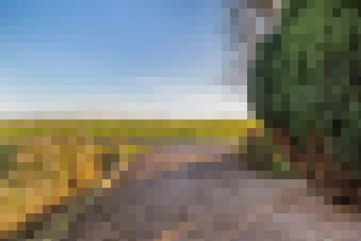 Nesserwei 15 Ternaard thumbnail 50