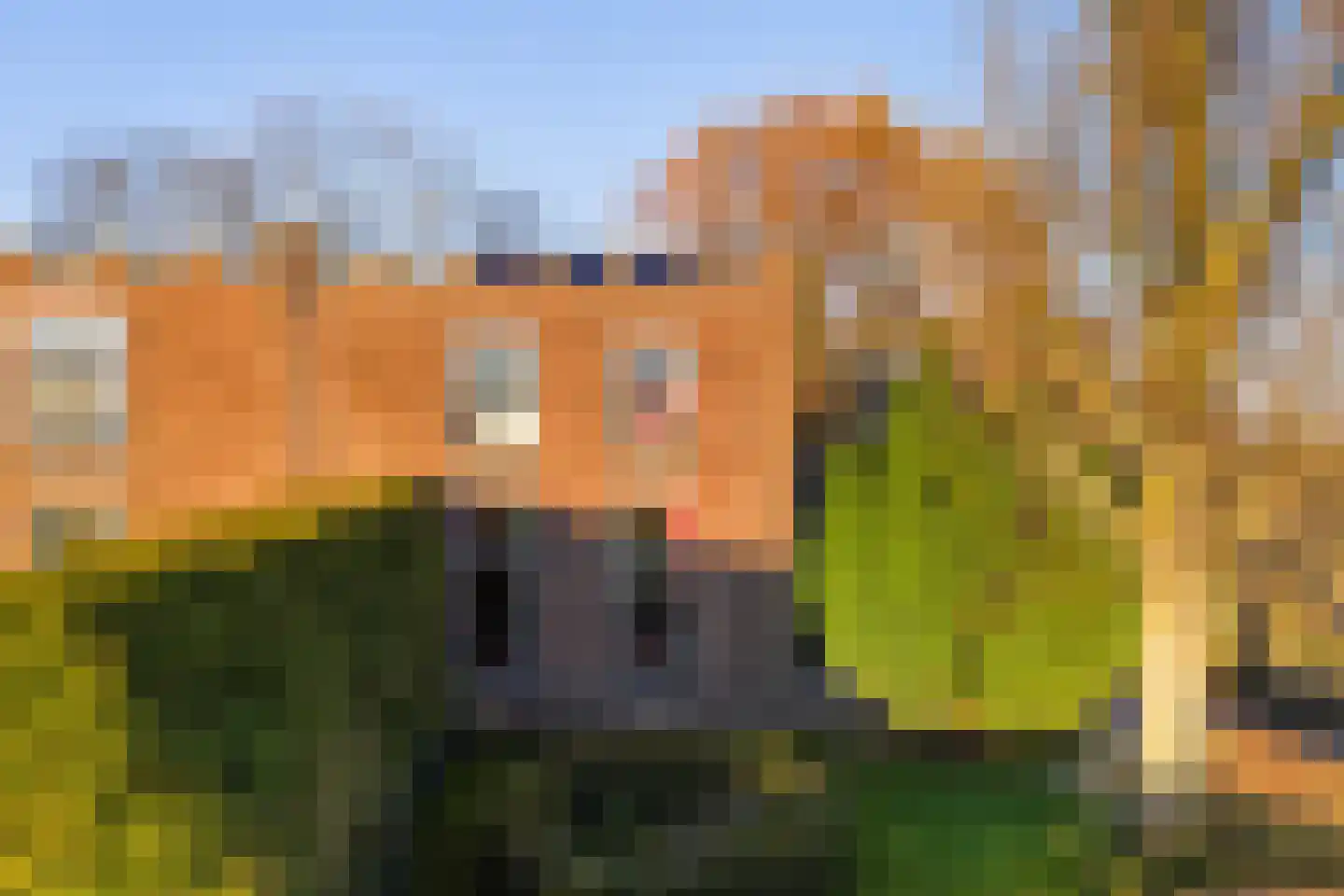Nesserwei 15 Ternaard thumbnail 52
