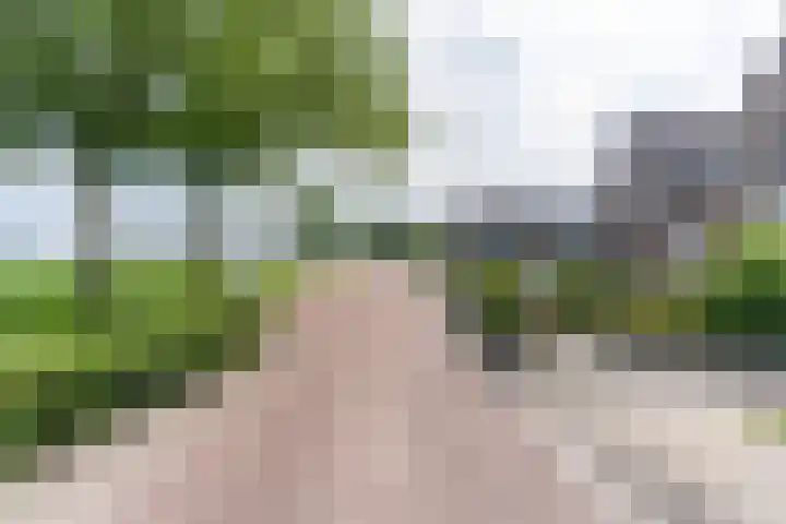Nesserwei 6 Ternaard thumbnail 11