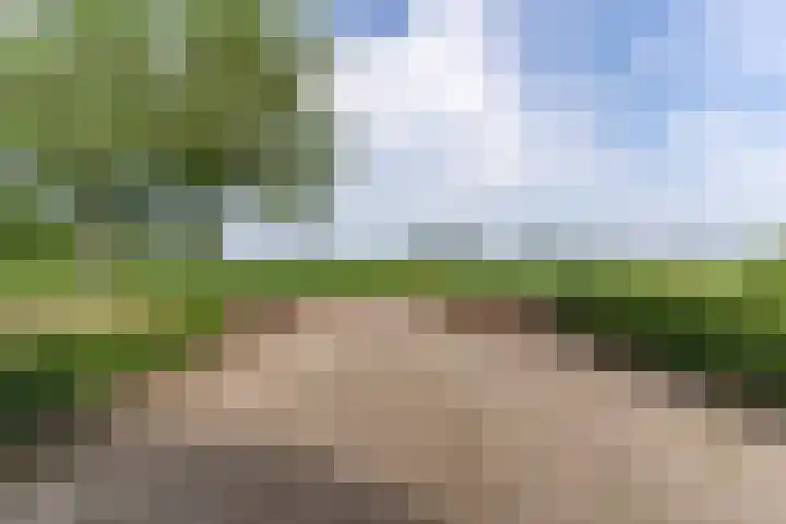 Nesserwei 6 Ternaard thumbnail 17