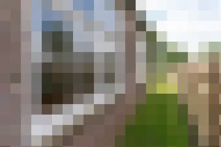 Nesserwei 6 Ternaard thumbnail 18