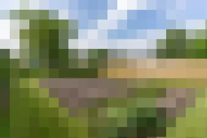 Nesserwei 6 Ternaard thumbnail 19