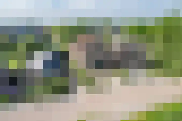 Nesserwei 6 Ternaard foto 2