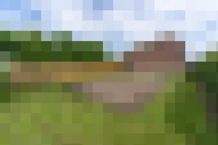 Nesserwei 6 Ternaard thumbnail 20