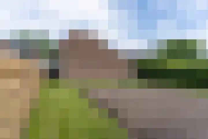 Nesserwei 6 Ternaard thumbnail 21