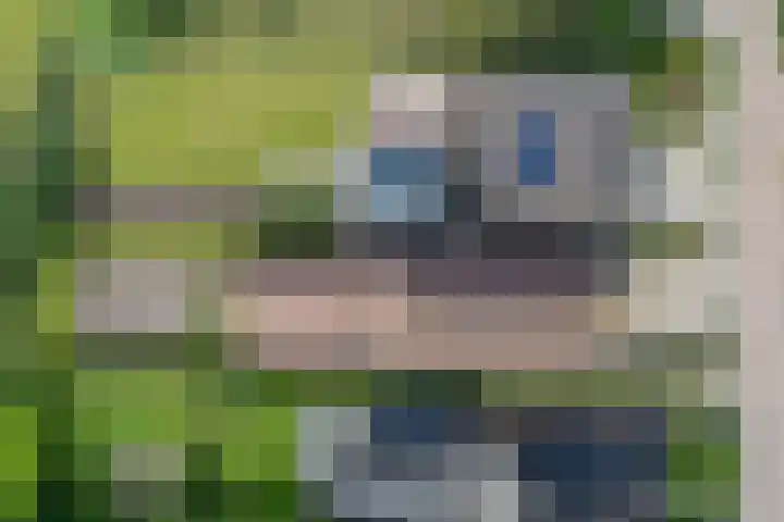 Nesserwei 6 Ternaard thumbnail 22