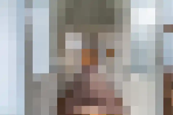Nesserwei 6 Ternaard thumbnail 28