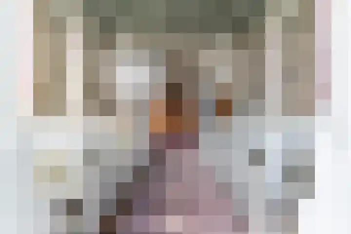Nesserwei 6 Ternaard thumbnail 29