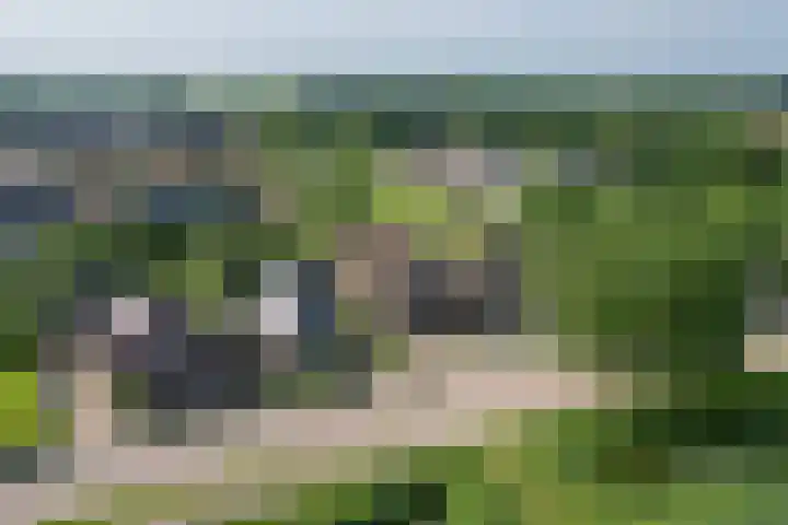 Nesserwei 6 Ternaard foto 3