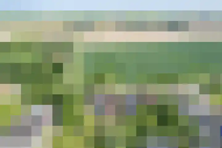 Nesserwei 6 Ternaard thumbnail 4