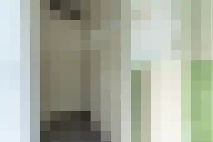 Nesserwei 6 Ternaard thumbnail 53