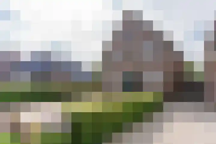 Nesserwei 6 Ternaard thumbnail 7
