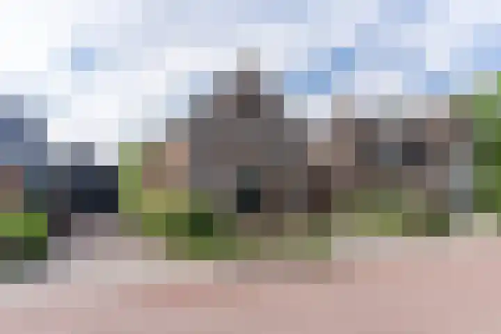 Nesserwei 6 Ternaard thumbnail 8