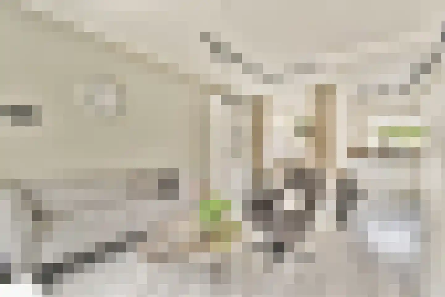 Nessestraat 11 Dordrecht thumbnail 11