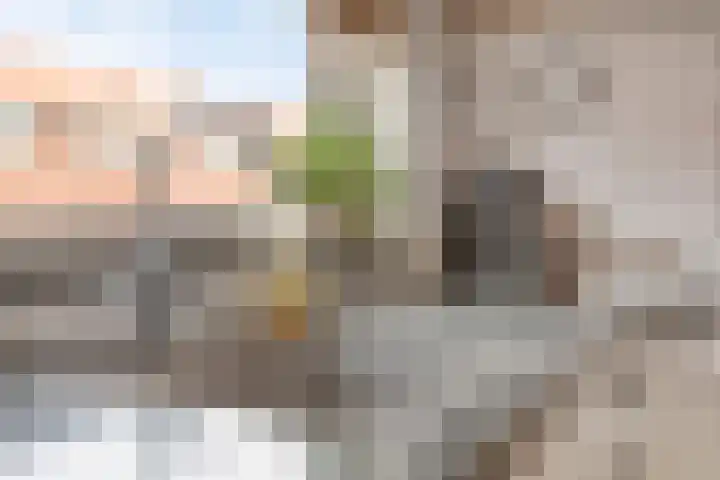 Nessestraat 59 Dordrecht thumbnail 16