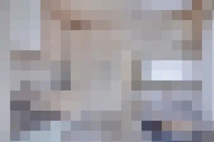 Nestelaar 10 Boxtel thumbnail 10
