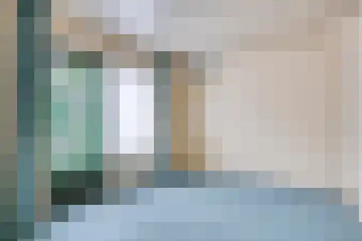 Nestelaar 10 Boxtel thumbnail 11