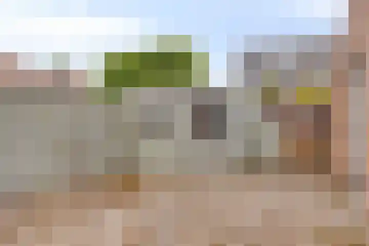 Nestelaar 10 Boxtel thumbnail 17