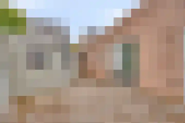 Nestelaar 10 Boxtel thumbnail 18