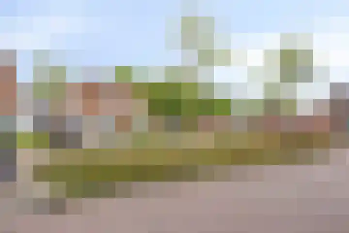 Nestelaar 10 Boxtel thumbnail 20