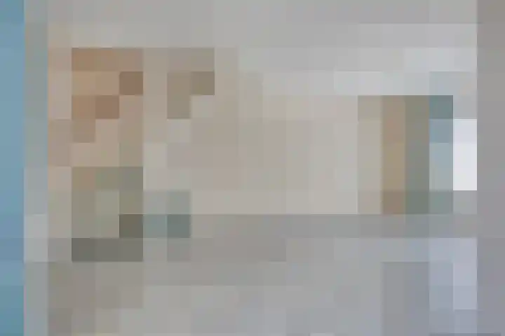 Nestelaar 10 Boxtel thumbnail 8