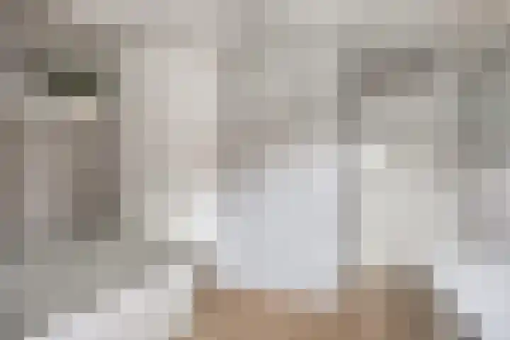 Nestheuvel 8 Best thumbnail 15