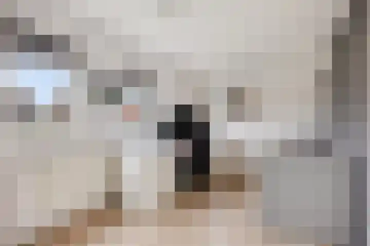 Nestheuvel 8 Best thumbnail 18