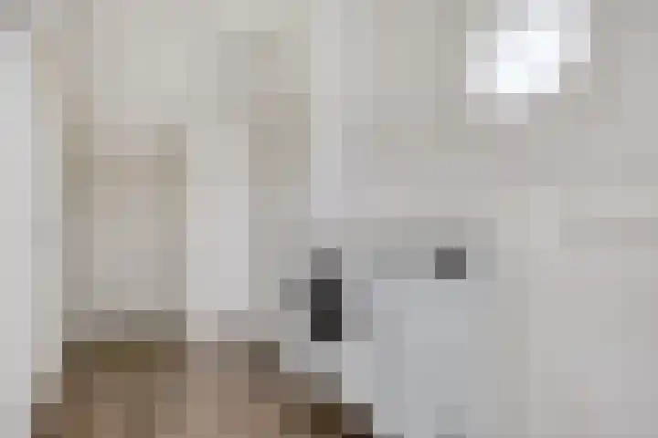 Nestheuvel 8 Best thumbnail 25