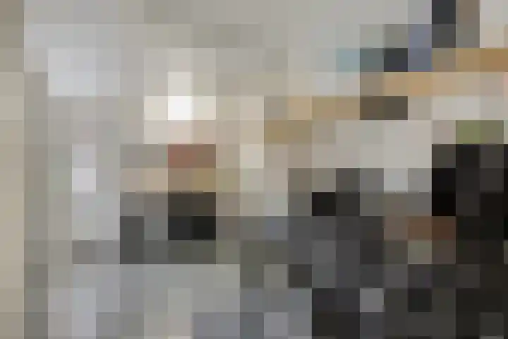 Nestheuvel 8 Best thumbnail 29