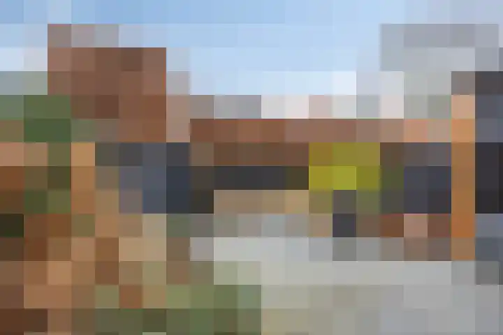 Nestheuvel 8 Best foto 3