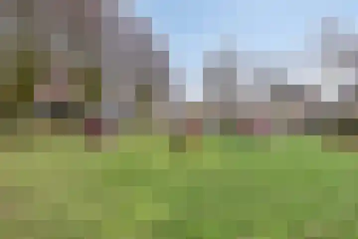 Nestheuvel 8 Best thumbnail 37