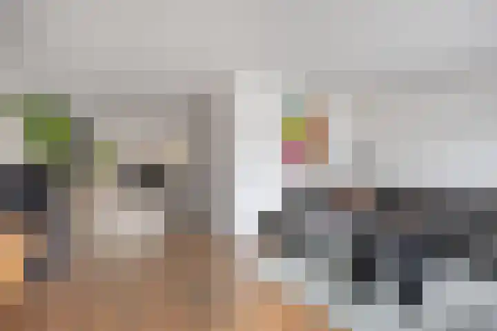 Nestheuvel 8 Best thumbnail 4