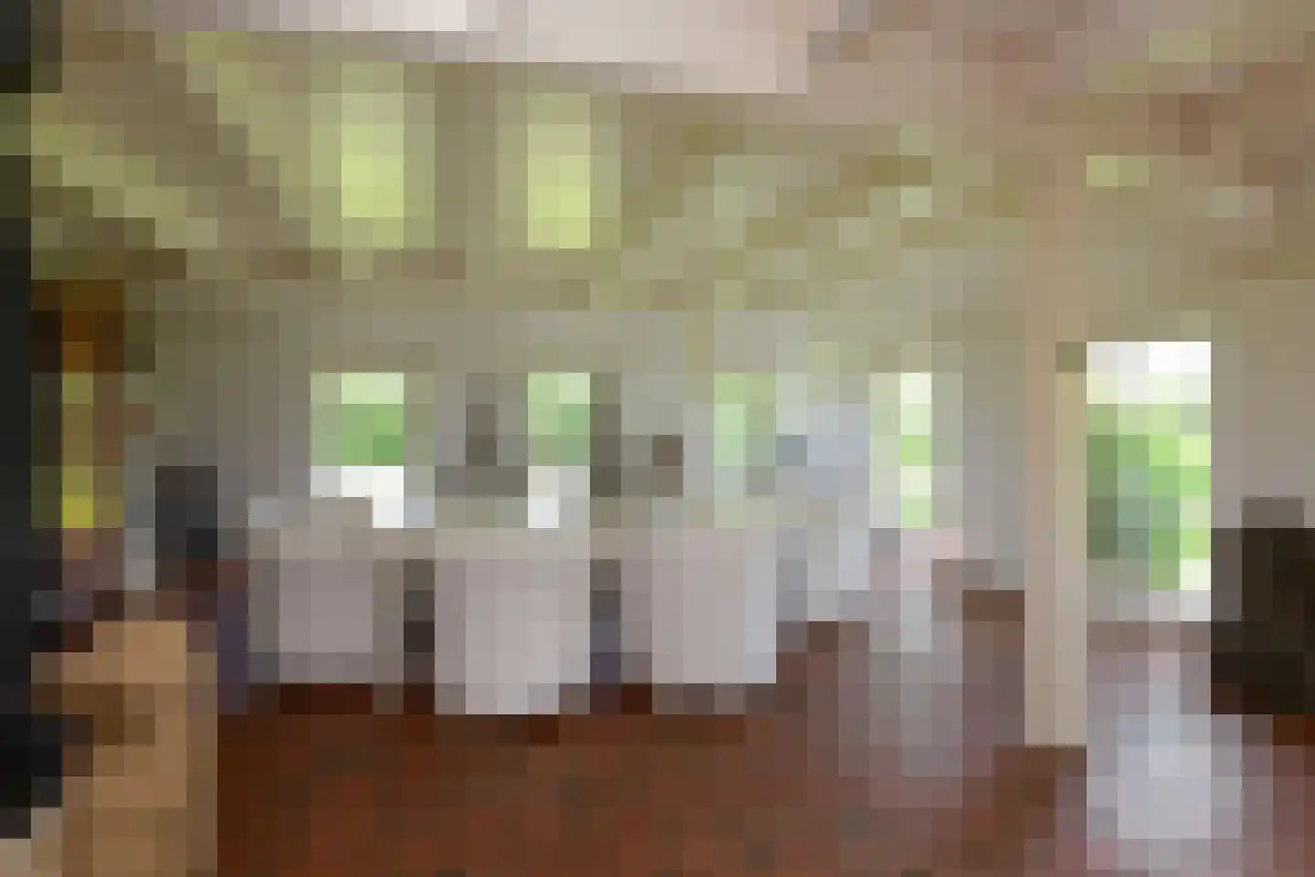 Nesweg 2 Oosterend thumbnail 15