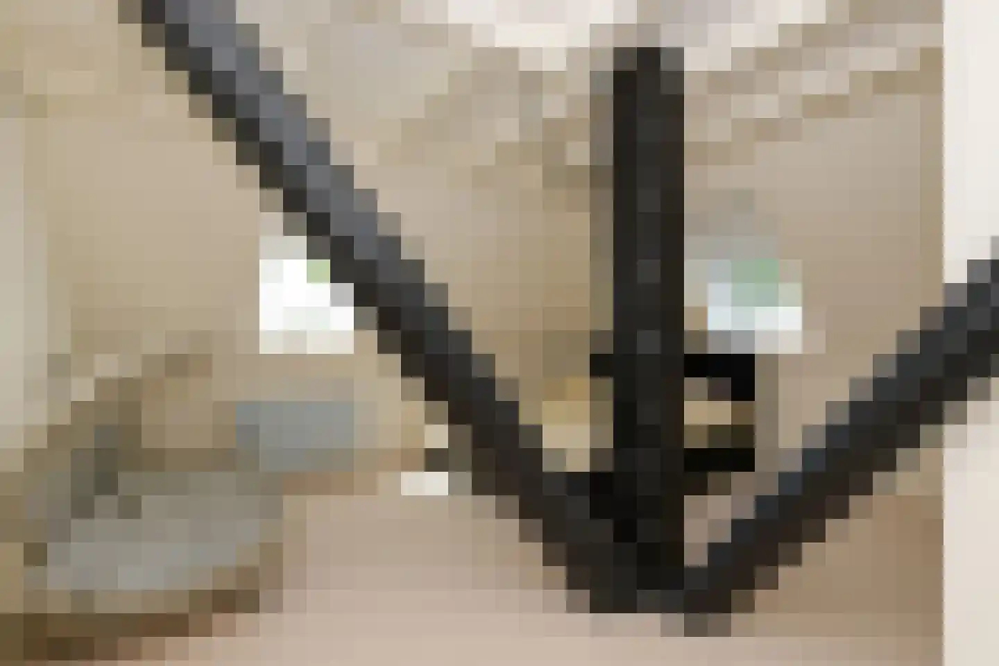 Nesweg 2 Oosterend thumbnail 29